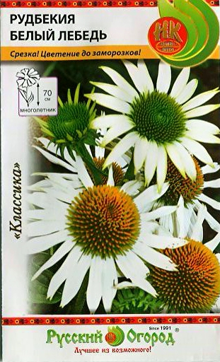 Рудбекия Белый лебедь многолетник 30шт (НК)