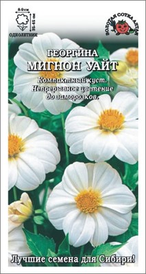Георгина Мигнон Уайт /Сотка/ 0,2г/ одн. h-45cм, d-9cм/*1100