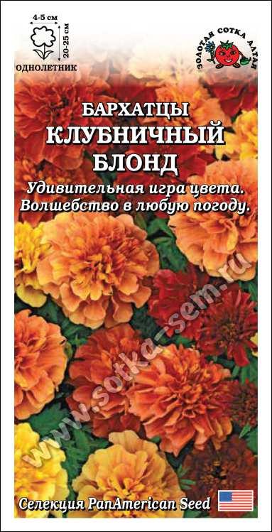 Бархатцы Клубничный блонд /Сотка/ 5шт/ откл. 25см,d-5см/*1500
