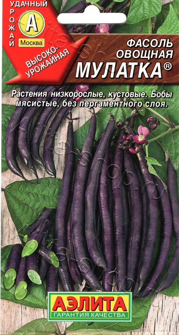 Фасоль Мулатка /Аэлита/ 5г/ среднеран. куст. 45-50см 15-17см фиолетовая