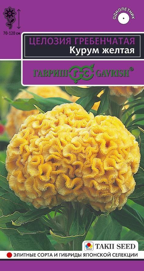 Целозия Курум желтая гребенчатая однолетник 8шт (Гавриш)