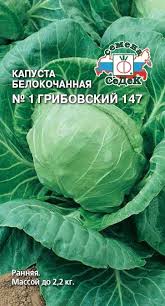 Капуста белокочанная №1 Грибовский /Сотка/ 0,5г/ раннесп. 0,9-2,2кг /*1200