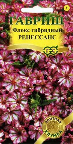 Флокс гибридный Ренессанс/Гавриш/цп 8 шт.