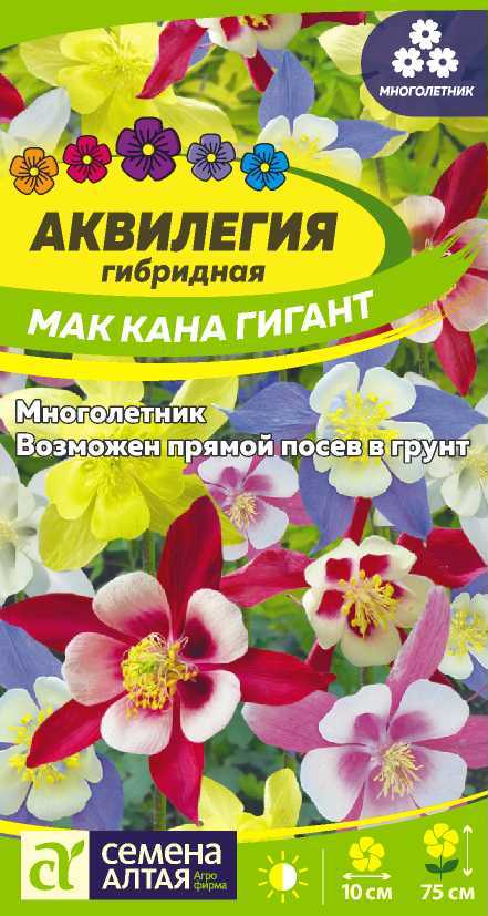 Цветы Аквилегия Маккана Гигант/Сем Алт/цп 0,1 гр. многолетник (2026 / 22635)