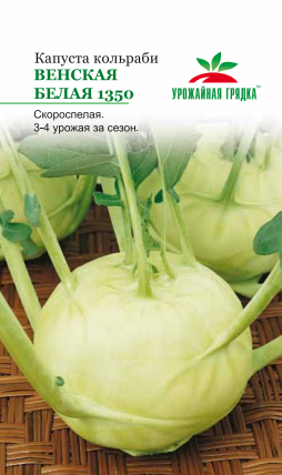 Капуста кольраби Венская белая (0,5г) СеДеК