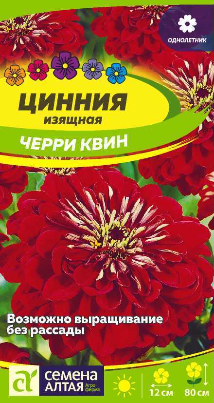 Цветы Цинния Черри Квин георгиноцветковая/Сем Алт/цп 0,3 гр. (2026 / 22245)