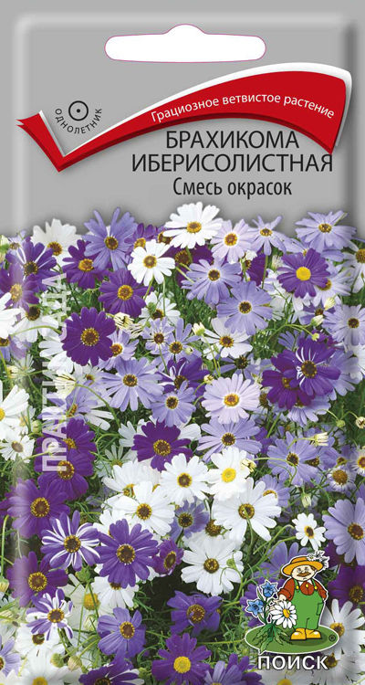 Брахикома , смесь окрасок (0.03г) Поиск