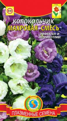 Колокольчик средний махровая смесь / Плазма /