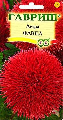 Астра Факел /Гавриш/ 0,3г