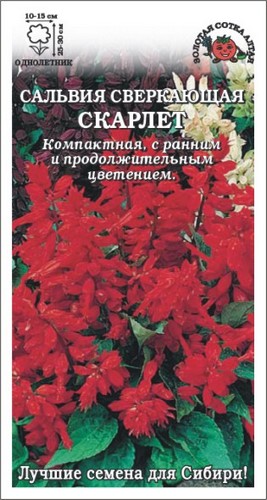 Сальвия Скарлет /Сотка/ 0,05г/ красн. h-30см/*1500