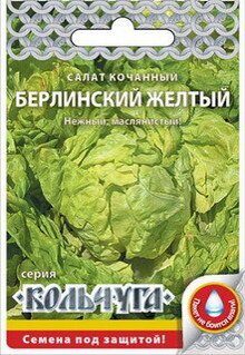 Салат Берлинский Желтый кочан.  "Кольчуга" (НК)