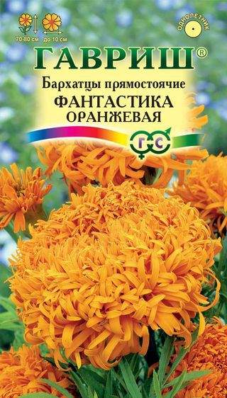 Бархатцы Фантастика оранжевая /Гавриш/ 0,1г/ прям. 80см, d-10см