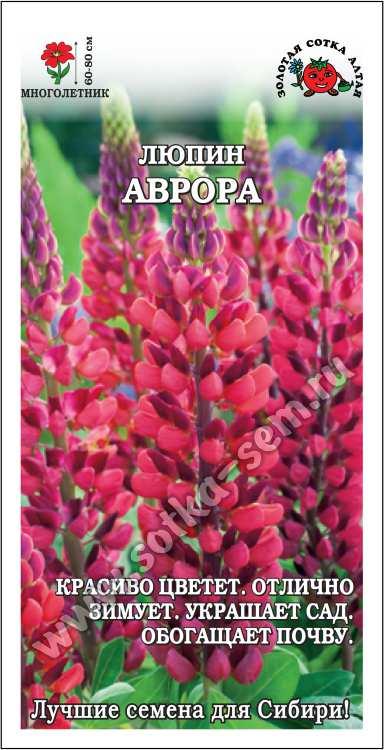 Люпин Аврора /Сотка/ 0,3 г красновато-розовый, многолетн, 60-80см/*900