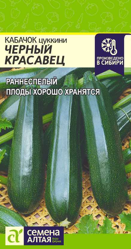 Кабачок Черный Красавец-Цуккини/Сем Алт/бп 2 гр. (2029 / 2434)