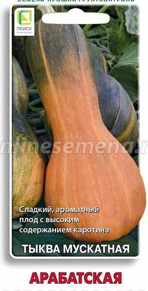 Тыква Арабатская мускатная (10шт) Поиск