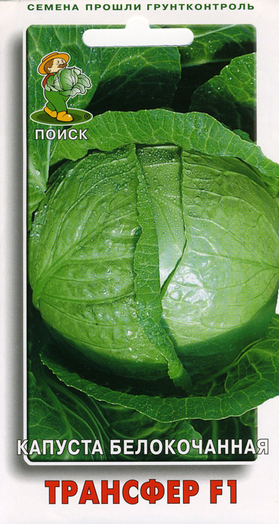 Капуста б/к Трансфер F1 (ранняя) (0.2г) Поиск