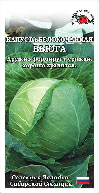 Капуста белокочанная Вьюга /Сотка/ 0,5 г / среднесп. до 4кг/*1100