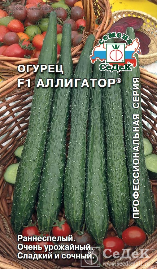 Огурец Аллигатор F1 0,2гр (Седек)