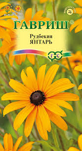 Рудбекия Янтарь /Гавриш/ 0,05г/ желто-бурые h-60см d-10см