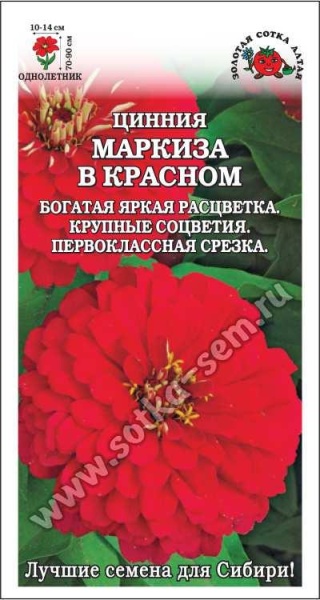 Цинния Маркиза в Красном /Сотка/ 0,3г/ h-90см, d-14см/*900
