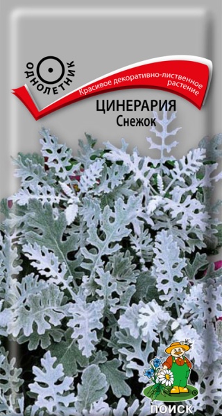 Цинерария Снежок 0.1г Поиск
