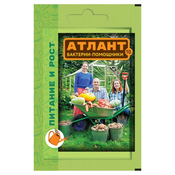 Атлант 10 гр. ВХ/200
