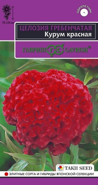 Целозия Курум красная гребенчатая однолетник 8шт (Гавриш)