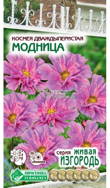 Космея Модница (0,1г) Евросемена