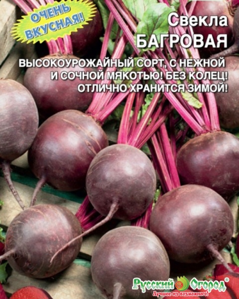 Свекла Багровая (Симбиоз) Е/П