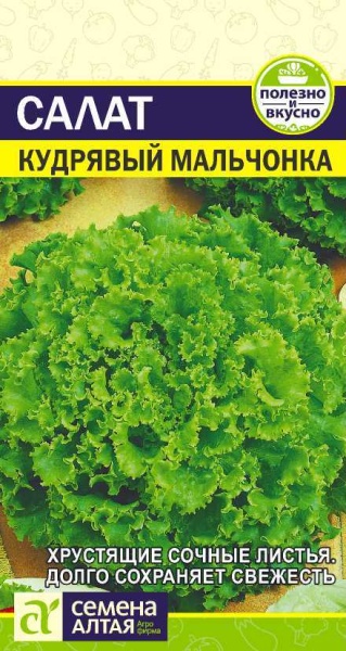 Зелень Салат Кудрявый Мальчонка/Сем Алт/цп 0,5 гр. (2028 / 40)