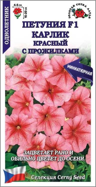 Петуния Карлик Красный F1 /Сотка/ 10шт/ h-20cм d-5см /*500