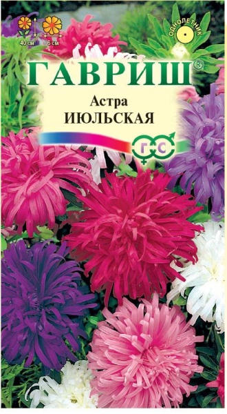 Астра Июльская смесь /Гавриш / 0,3г/ 40см, d-6см