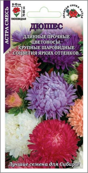 Астра Дюшес смесь /Сотка/ 0,2г/ h-80см, d-10см/*1500