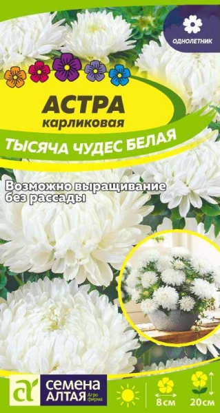 Астра Тысяча чудес белая карликовая/Сем Алт/цп 0,2 гр. (2026 / 22250)