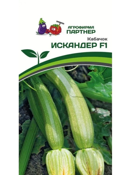 Партнер Кабачок ИСКАНДЕР F1 ^(5шт)