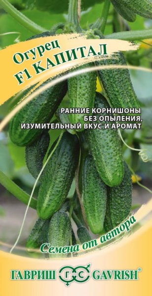 Огурец Капитал F1 /Гавриш/ 10шт