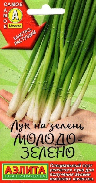 Лук Молодо зелено на зелень /Аэлита/