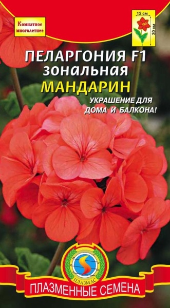 Пеларгония зональная Мандарин F1