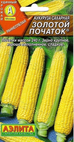 Кукуруза Золотой початок сахарная /Аэлита/7гр