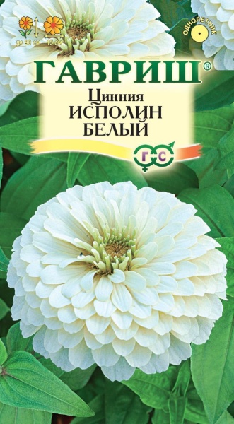 Цинния Исполин белый /Гавриш/ 0,3г/ изящ. h-90см, d-15см