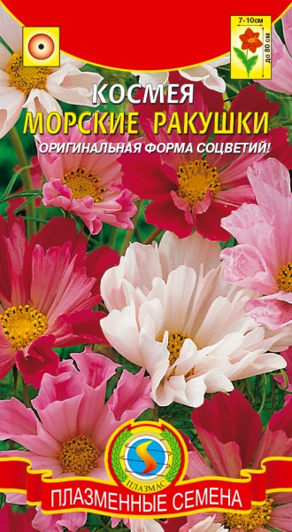 Космея Морские ракушки/ Плазма/