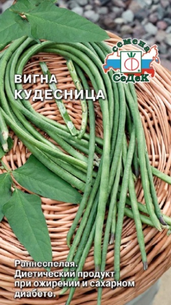 Фасоль ВИГНА Кудесница (3г) СеДеК