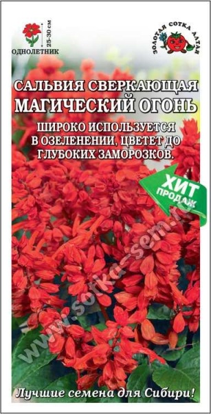 Сальвия Магический огонь /Сотка/ 0,1г/ h-20см/*1300