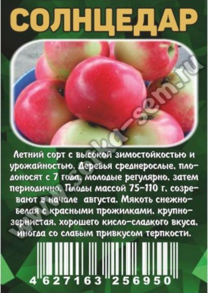 Яблоня Солнцедар полукультурка (саженец с этикеткой) 1шт (Сиб сад)