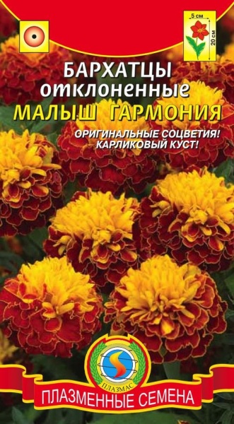 Бархатцы отклоненные Малыш Гармония
