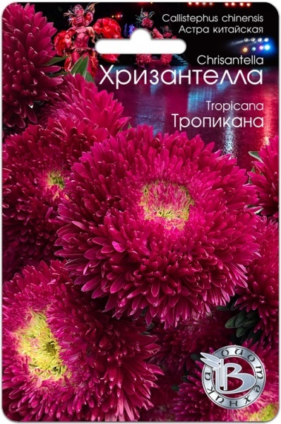 Астра Хризантелла Тропикана (30шт) Биотехника