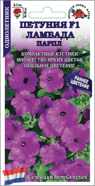 Петуния Ламбада парпл F1 /Сотка/ 10шт/*500