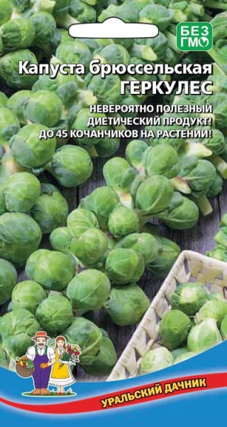 Капуста брюссельская Геркулес (0,25г) Уральский Дачник