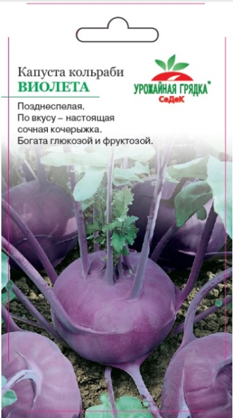 Капуста Капуста кольраби Виолетта (Седек)