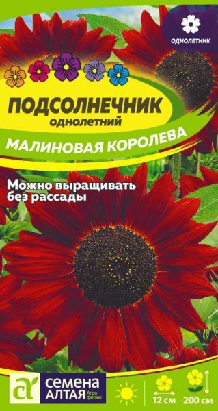 Цветы Подсолнечник Малиновая Королева/Сем Алт/цп 0,5 гр. (2026 / 22532)